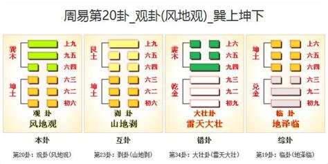 觀卦感情|周易20觀卦：風地觀